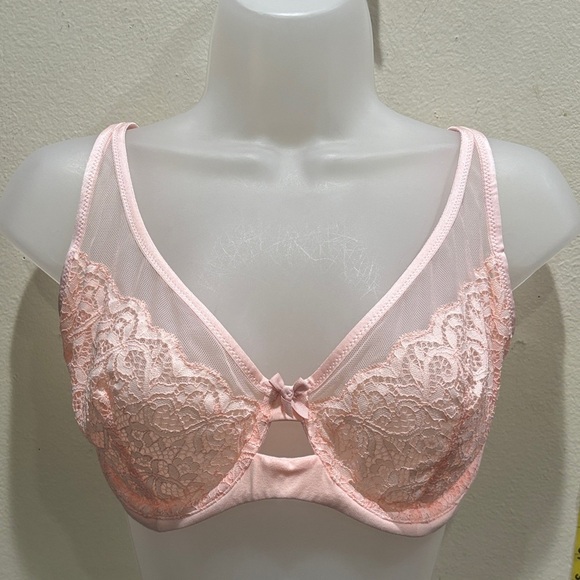 Victoria's Secret Blush Lace Bra - Picture 1 of 4